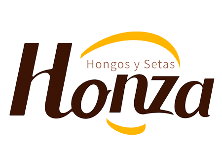 Honza
